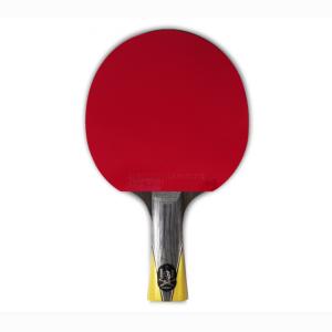 Купить Теннисная ракетка Gambler balsa knight big gun в Буинске 