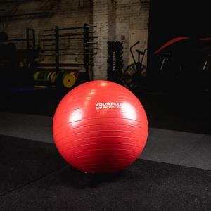Купить Гимнастический мяч Yousteel Hard 55см в Буинске 